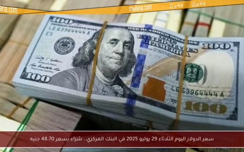 سعر الدولار اليوم الثلاثاء 29 يوليو 2025 في البنك المركزي.. شراء بسعر 48.70 جنيه