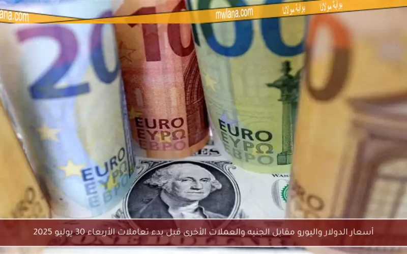 أسعار الدولار واليورو مقابل الجنيه والعملات الأخرى قبل بدء تعاملات الأربعاء 30 يوليو 2025