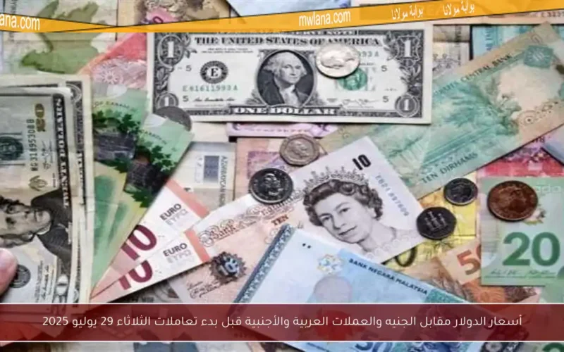 أسعار الدولار مقابل الجنيه والعملات العربية والأجنبية قبل بدء تعاملات الثلاثاء 29 يوليو 2025