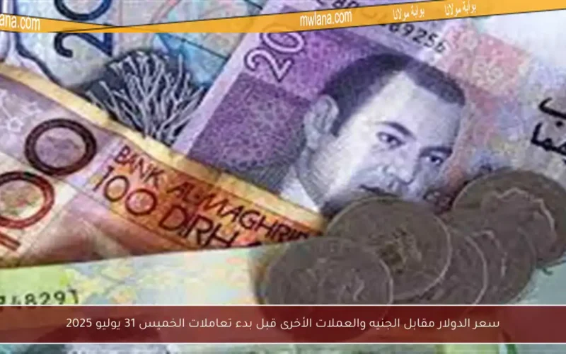 سعر الدولار مقابل الجنيه والعملات الأخرى قبل بدء تعاملات الخميس 31 يوليو 2025