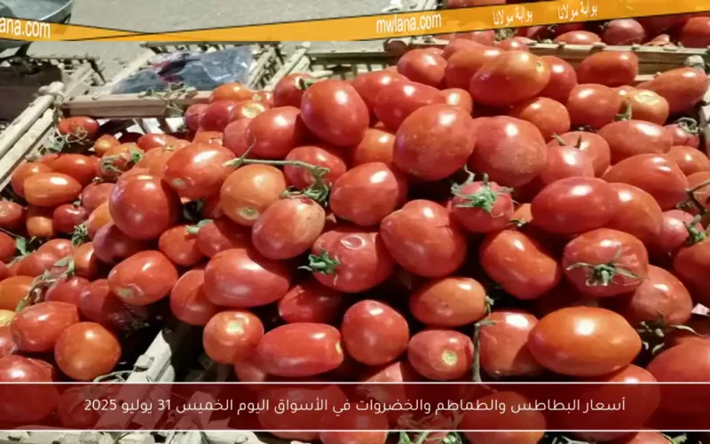 أسعار البطاطس والطماطم والخضروات في الأسواق اليوم الخميس 31 يوليو 2025