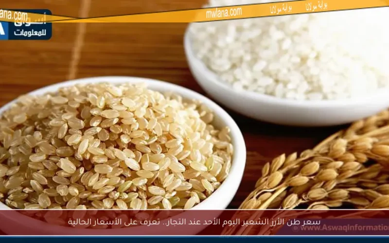 سعر طن الأرز الشعير اليوم الأحد عند التجار.. تعرف على الأسعار الحالية