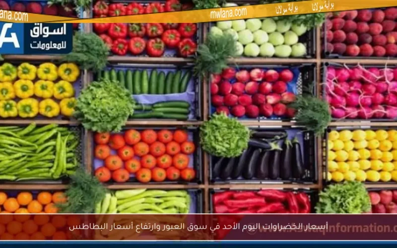 أسعار الخضراوات اليوم الأحد في سوق العبور وارتفاع أسعار البطاطس