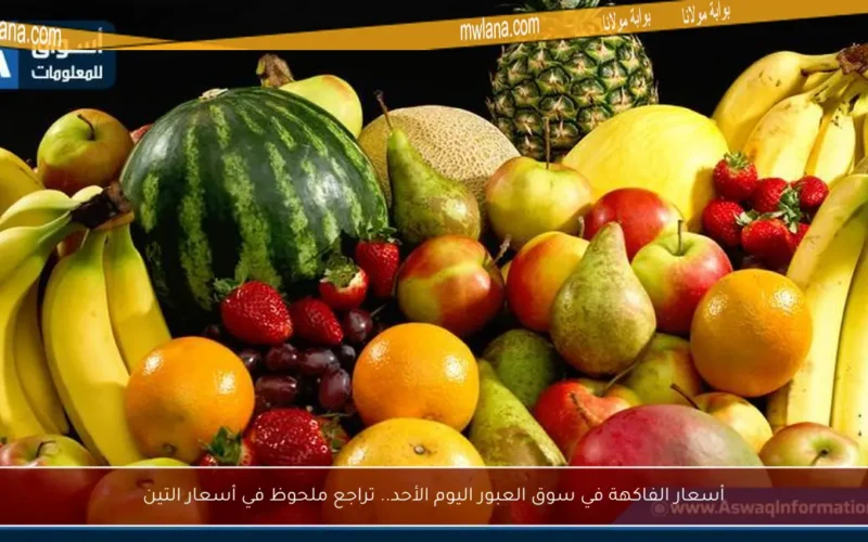 أسعار الفاكهة في سوق العبور اليوم الأحد.. تراجع ملحوظ في أسعار التين