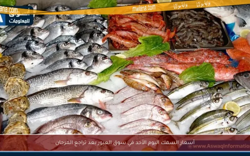 أسعار السمك اليوم الأحد في سوق العبور بعد تراجع المرجان