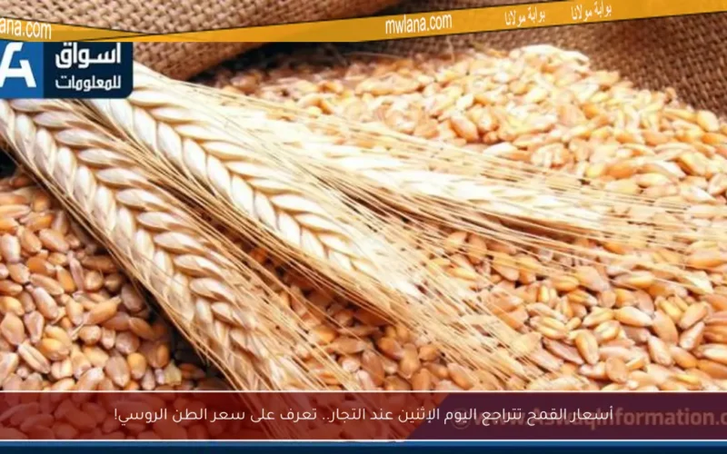 أسعار القمح تتراجع اليوم الإثنين عند التجار.. تعرف على سعر الطن الروسي!