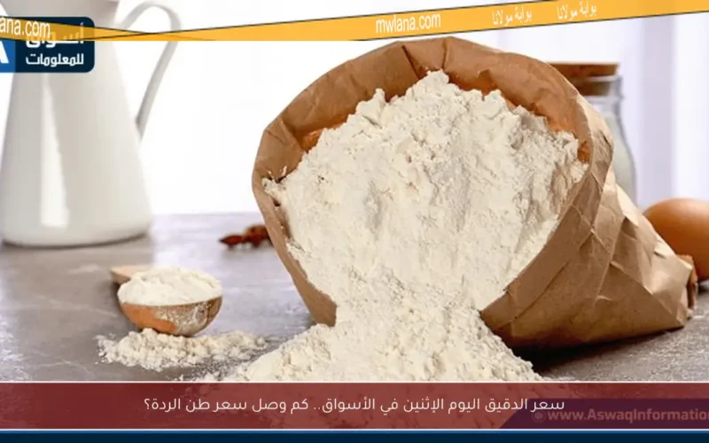 سعر الدقيق اليوم الإثنين في الأسواق.. كم وصل سعر طن الردة؟