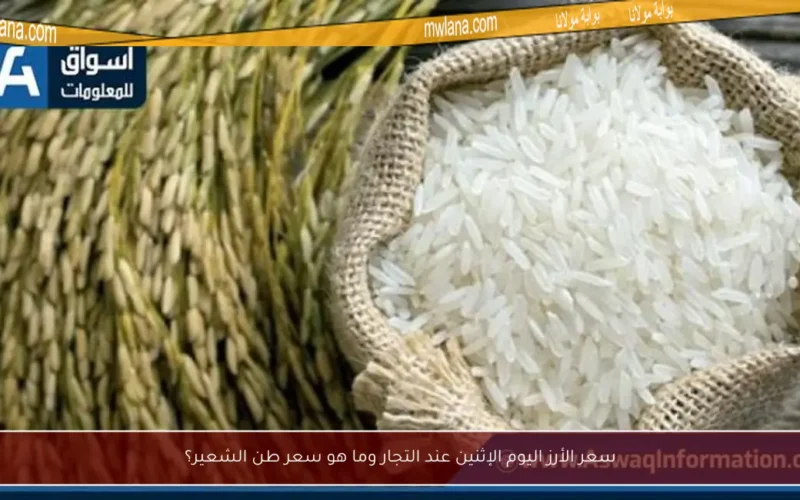 سعر الأرز اليوم الإثنين عند التجار وما هو سعر طن الشعير؟