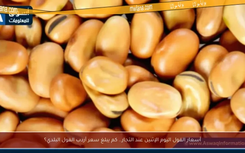 أسعار الفول اليوم الإثنين عند التجار.. كم يبلغ سعر أردب الفول البلدي؟