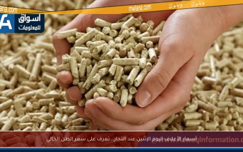أسعار الأعلاف اليوم الإثنين عند التجار.. تعرف على سعر الطن الحالي