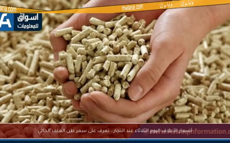أسعار الأعلاف اليوم الثلاثاء عند التجار.. تعرف على سعر طن العلف الحالي