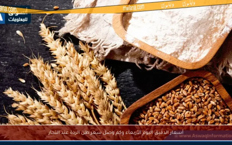 أسعار الدقيق اليوم الأربعاء وكم وصل سعر طن الردة عند التجار
