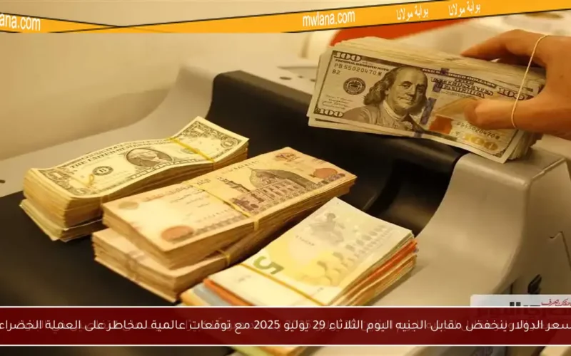 سعر الدولار ينخفض مقابل الجنيه اليوم الثلاثاء 29 يوليو 2025 مع توقعات عالمية لمخاطر على العملة الخضراء