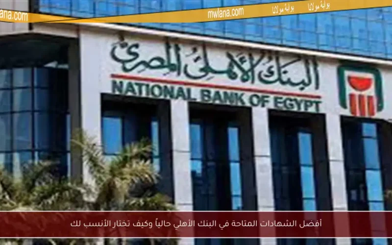 أفضل الشهادات المتاحة في البنك الأهلي حالياً وكيف تختار الأنسب لك