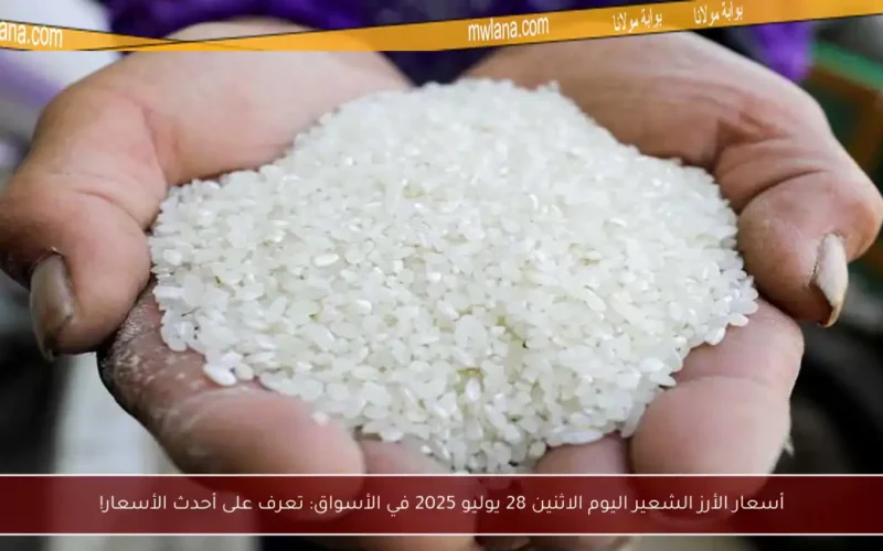 أسعار الأرز الشعير اليوم الاثنين 28 يوليو 2025 في الأسواق: تعرف على أحدث الأسعار!