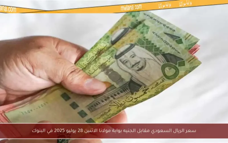 سعر الريال السعودي مقابل الجنيه بوابة مولانا الاثنين 28 يوليو 2025 في البنوك
