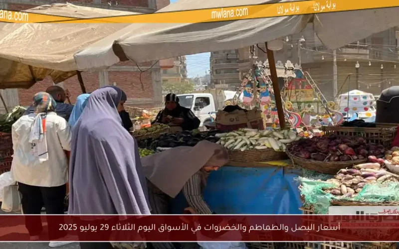 أسعار البصل والطماطم والخضروات في الأسواق اليوم الثلاثاء 29 يوليو 2025