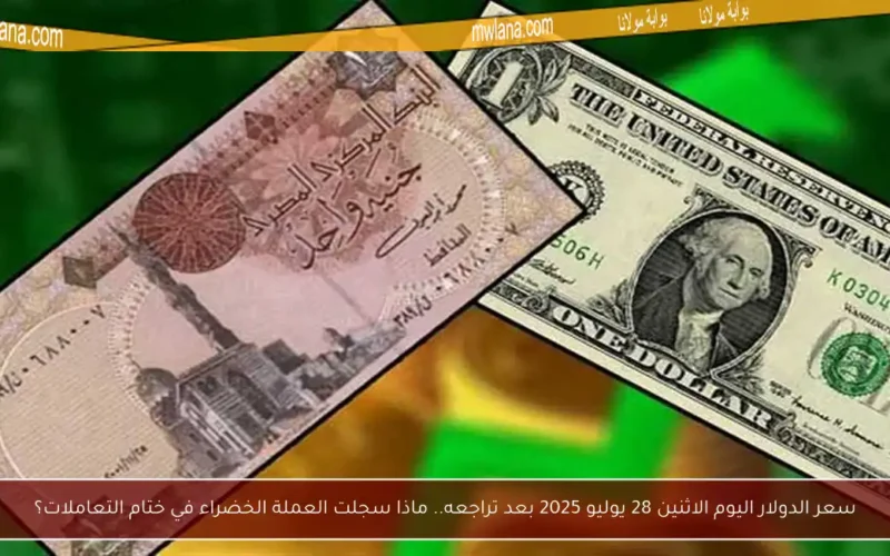 سعر الدولار اليوم الاثنين 28 يوليو 2025 بعد تراجعه.. ماذا سجلت العملة الخضراء في ختام التعاملات؟