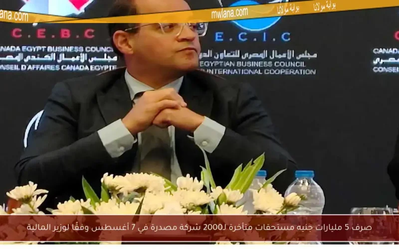 صرف 5 مليارات جنيه مستحقات متأخرة لـ2000 شركة مصدرة في 7 أغسطس وفقًا لوزير المالية