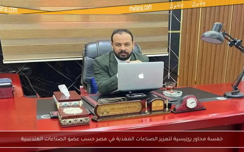 خمسة محاور رئيسية لتعزيز الصناعات المغذية في مصر حسب عضو الصناعات الهندسية