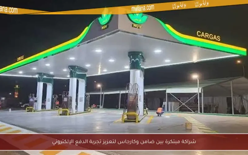 شراكة مبتكرة بين ضامن وكارجاس لتعزيز تجربة الدفع الإلكتروني