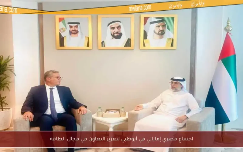 اجتماع مصري إماراتي في أبوظبي لتعزيز التعاون في مجال الطاقة
