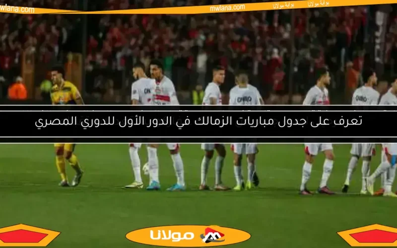 الزمالك يعلن عن صفقة جديدة.. رحيل لاعب وانضمام نجم من البنك الأهلي