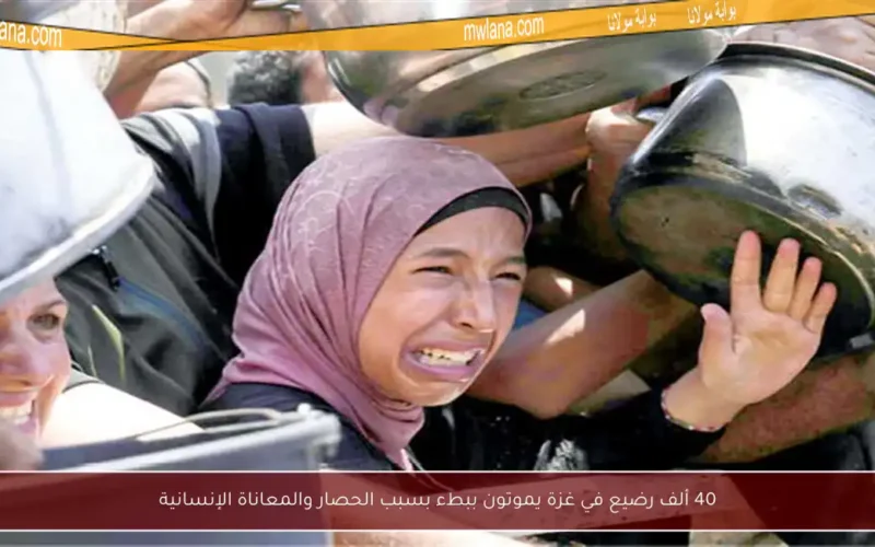 40 ألف رضيع في غزة يموتون ببطء بسبب الحصار والمعاناة الإنسانية