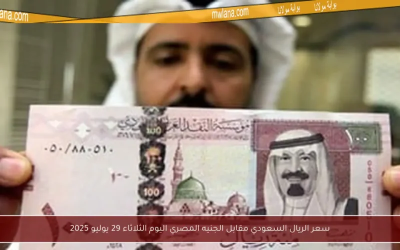 سعر الريال السعودي مقابل الجنيه المصري اليوم الثلاثاء 29 يوليو 2025