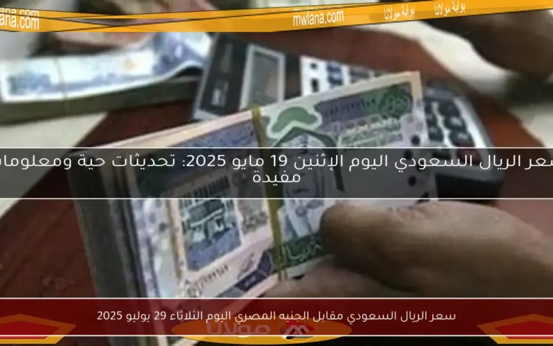 سعر الريال السعودي مقابل الجنيه المصري اليوم الثلاثاء 29 يوليو 2025