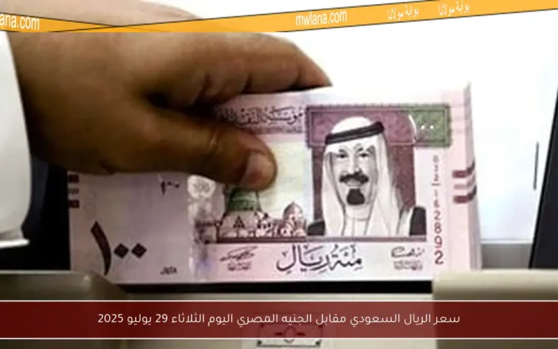 سعر الريال السعودي مقابل الجنيه المصري اليوم الثلاثاء 29 يوليو 2025