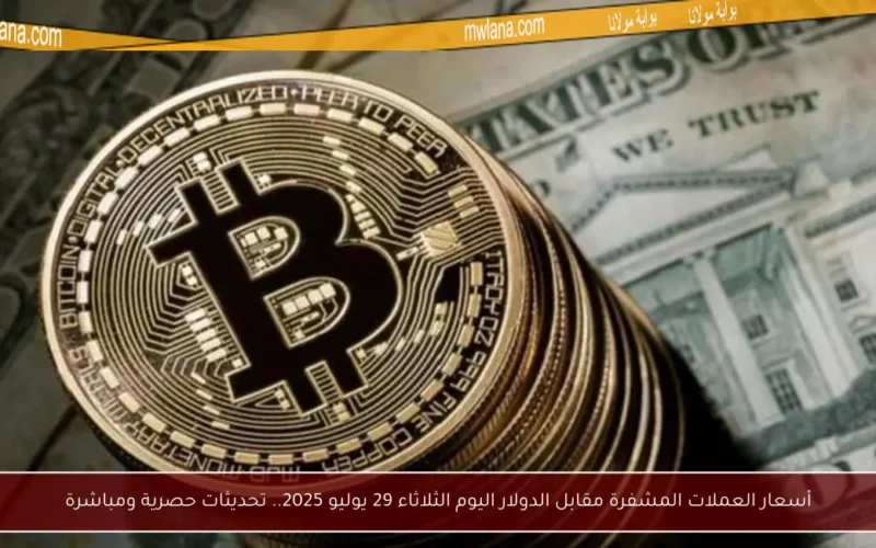 أسعار العملات المشفرة مقابل الدولار اليوم الثلاثاء 29 يوليو 2025.. تحديثات حصرية ومباشرة