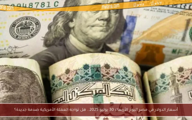 أسعار الدولار في مصر اليوم الأربعاء 30 يوليو 2025.. هل تواجه العملة الأمريكية صدمة جديدة؟