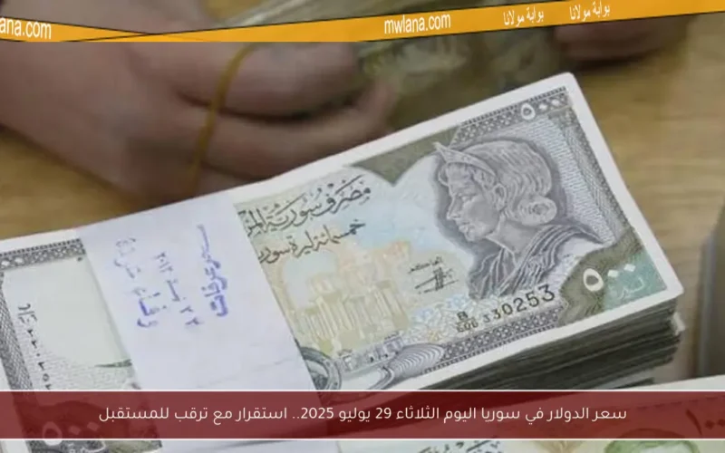 سعر الدولار في سوريا اليوم الثلاثاء 29 يوليو 2025.. استقرار مع ترقب للمستقبل
