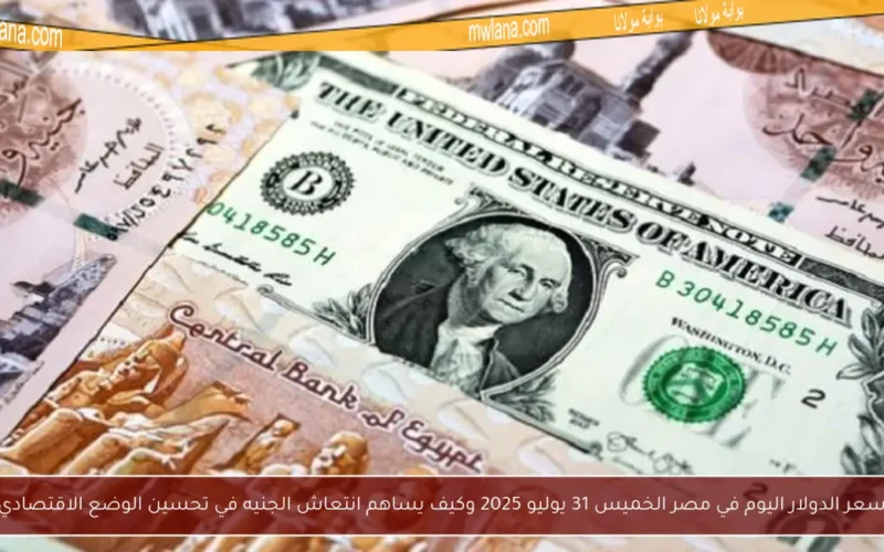 سعر الدولار اليوم في مصر الخميس 31 يوليو 2025 وكيف يساهم انتعاش الجنيه في تحسين الوضع الاقتصادي