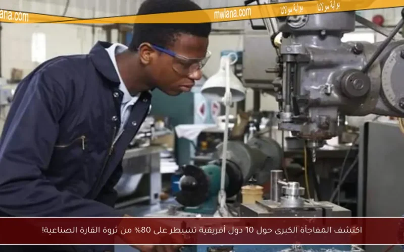 اكتشف المفاجأة الكبرى حول 10 دول أفريقية تسيطر على 80% من ثروة القارة الصناعية!