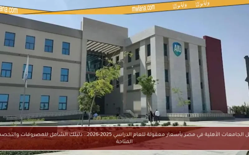 أفضل الجامعات الأهلية في مصر بأسعار معقولة للعام الدراسي 2025-2026.. دليلك الشامل للمصروفات والتخصصات المتاحة