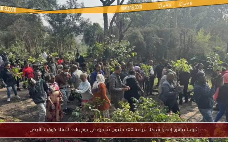 إثيوبيا تحقق إنجازًا مذهلاً بزراعة 700 مليون شجرة في يوم واحد لإنقاذ كوكب الأرض