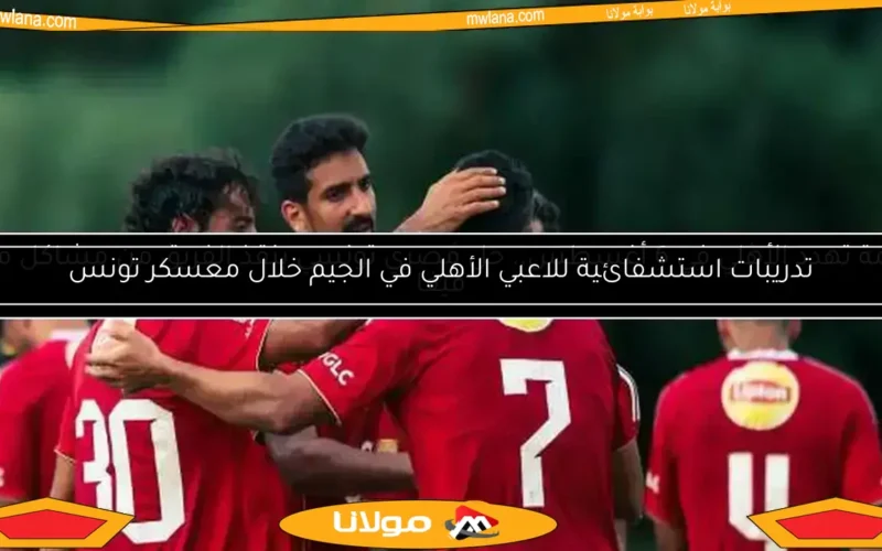 أزمة تهدد الأهلي في 6 أغسطس.. حل مصري تونسي ينقذ الفريق من مشاكل مع فيفا