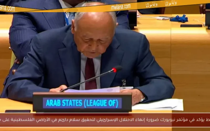 أبو الغيط يؤكد في مؤتمر نيويورك ضرورة إنهاء الاحتلال الإسرائيلي لتحقيق سلام دائم في الأراضي الفلسطينية على حدود 67