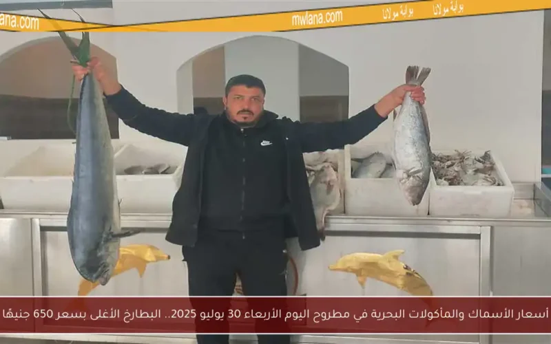 أسعار الأسماك والمأكولات البحرية في مطروح اليوم الأربعاء 30 يوليو 2025.. البطارخ الأغلى بسعر 650 جنيهًا