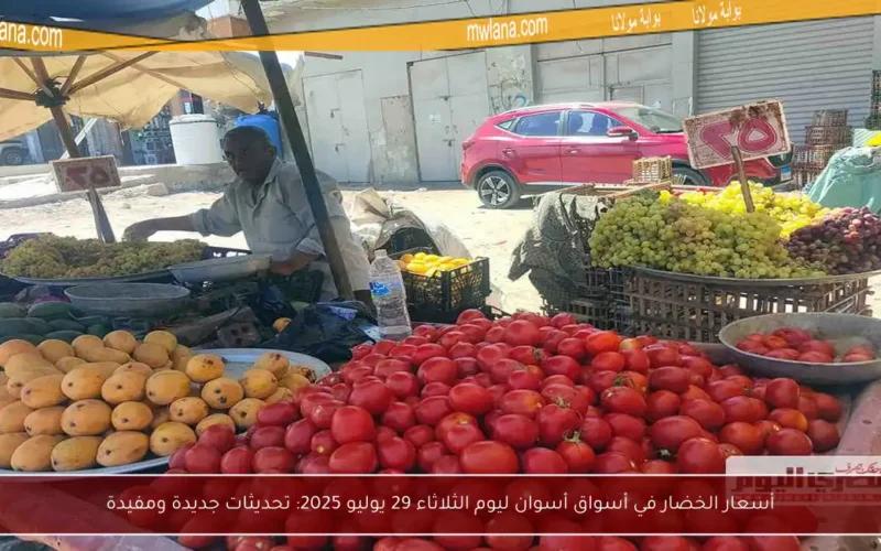 أسعار الخضار في أسواق أسوان ليوم الثلاثاء 29 يوليو 2025: تحديثات جديدة ومفيدة