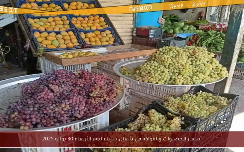 أسعار الخضروات والفواكه في شمال سيناء ليوم الأربعاء 30 يوليو 2025
