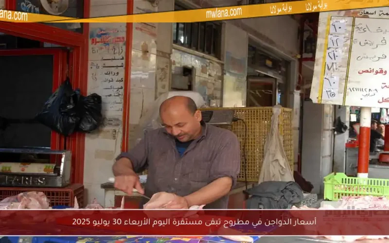 أسعار الدواجن في مطروح تبقى مستقرة اليوم الأربعاء 30 يوليو 2025