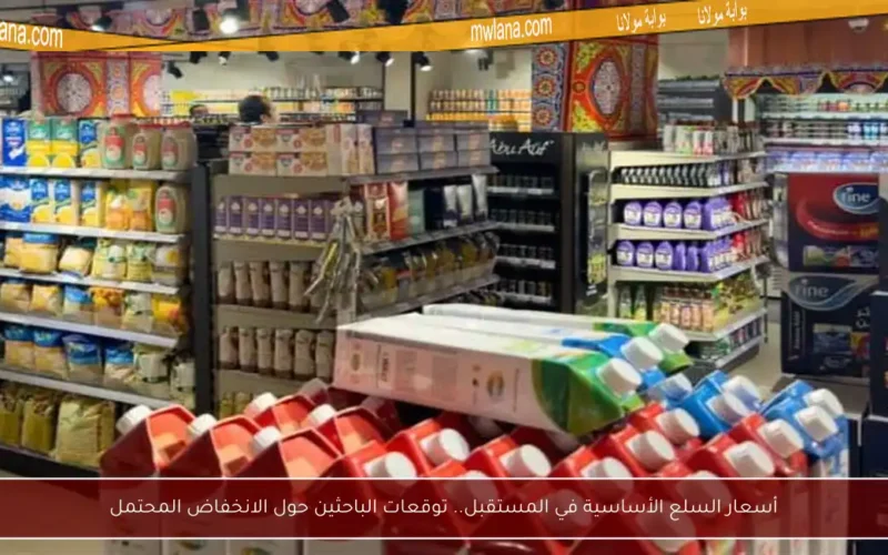أسعار السلع الأساسية في المستقبل.. توقعات الباحثين حول الانخفاض المحتمل