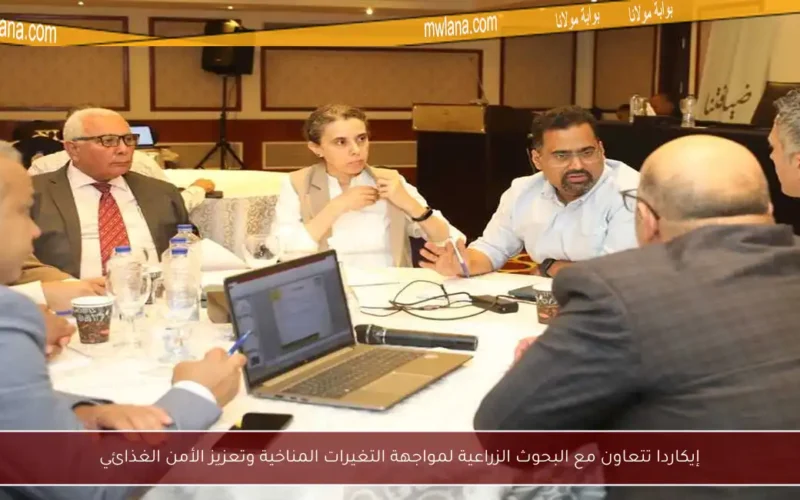 إيكاردا تتعاون مع البحوث الزراعية لمواجهة التغيرات المناخية وتعزيز الأمن الغذائي