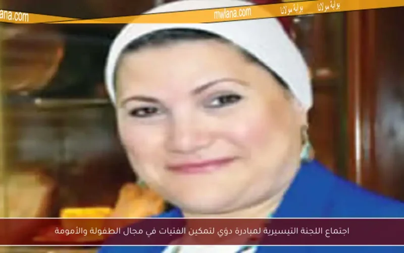 اجتماع اللجنة التيسيرية لمبادرة دوَي لتمكين الفتيات في مجال الطفولة والأمومة