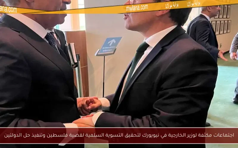 اجتماعات مكثفة لوزير الخارجية في نيويورك لتحقيق التسوية السلمية لقضية فلسطين وتنفيذ حل الدولتين