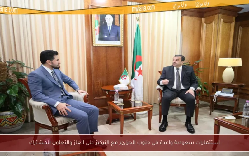 استثمارات سعودية واعدة في جنوب الجزائر مع التركيز على الغاز والتعاون المشترك