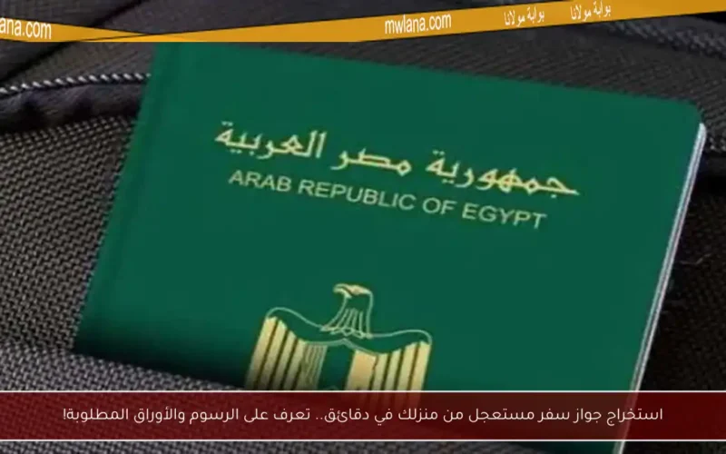 استخراج جواز سفر مستعجل من منزلك في دقائق.. تعرف على الرسوم والأوراق المطلوبة!